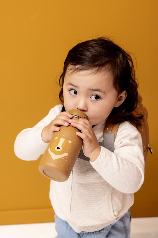 Stainless Steel Bottle 350 ml - Mr. Bear