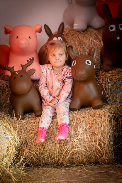 My First JUMPY – Brown Horse